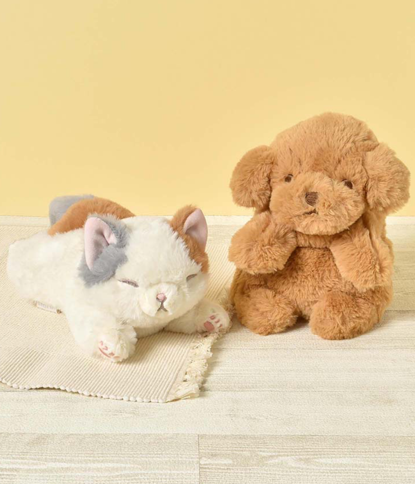 おうちタイムに🐶くたっとびよりミニクッション🐶 | ショップニュース