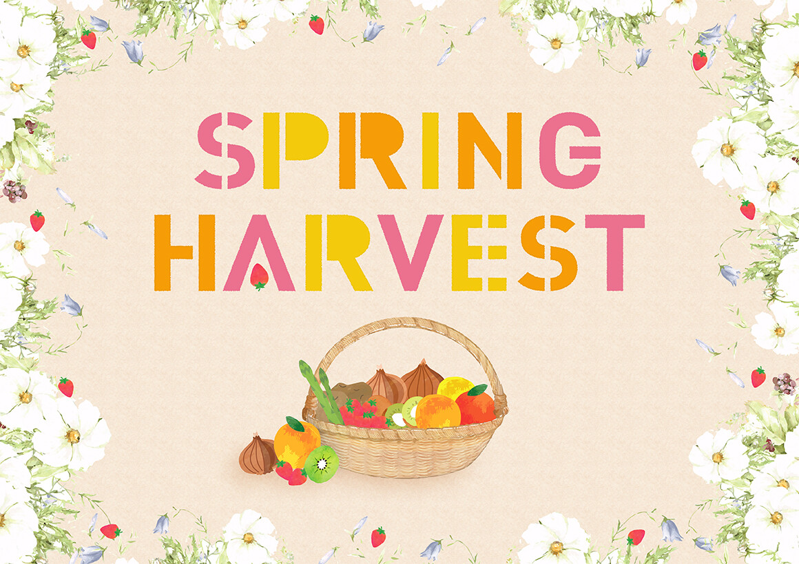 SPRING HARVEST