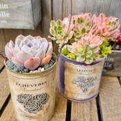 青葉台カルチャープラザ