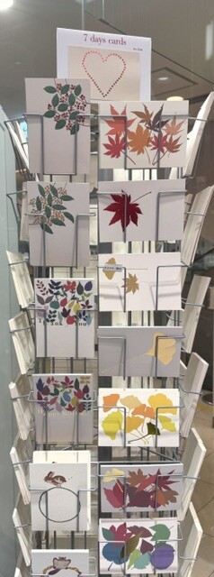 7days　cards「秋」