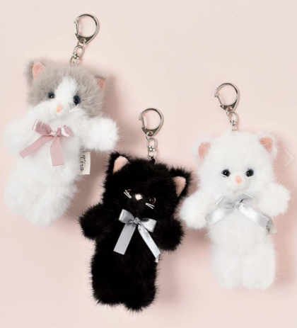 🐈‍⬛明日2月22日は猫の日！🐈‍⬛