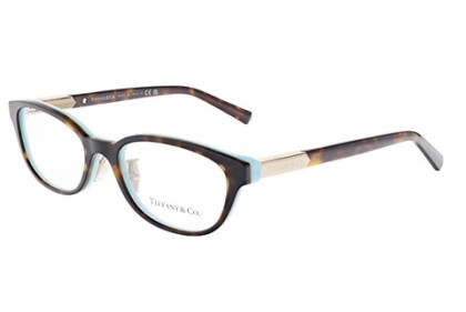 新バージョン続々