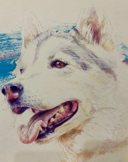 【おすすめ講座】人物画・動物画