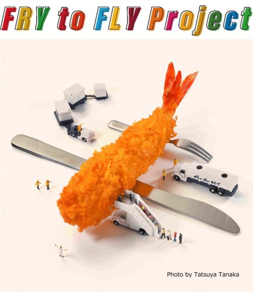 国内資源循環による脱炭素社会実現に向けたプロジェクト「FRY to FLY Project」に参画