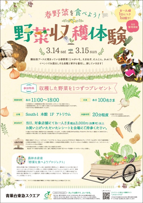 春野菜を食べよう！野菜収穫体験（3/14-3/15）