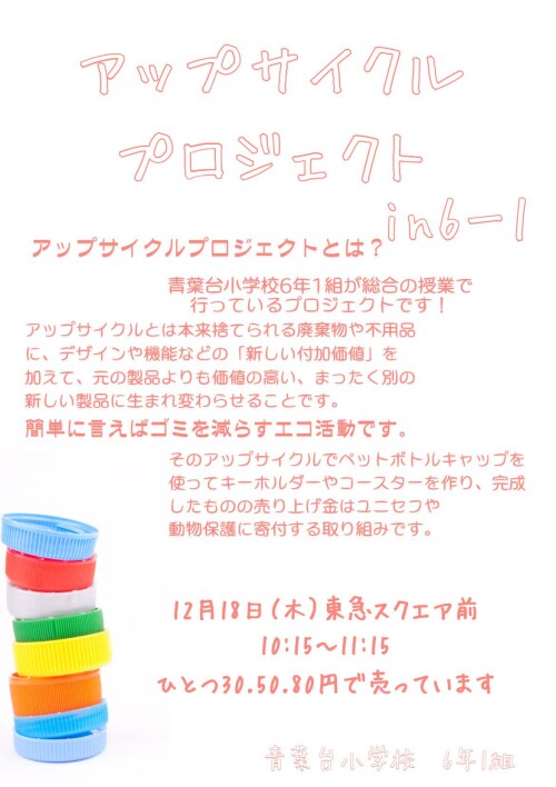 青葉台小学校 アップサイクルプロジェクト（12/18）