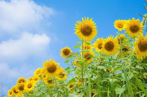 『夏割』始まります！