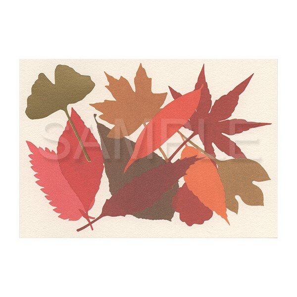 7days　cards「秋」