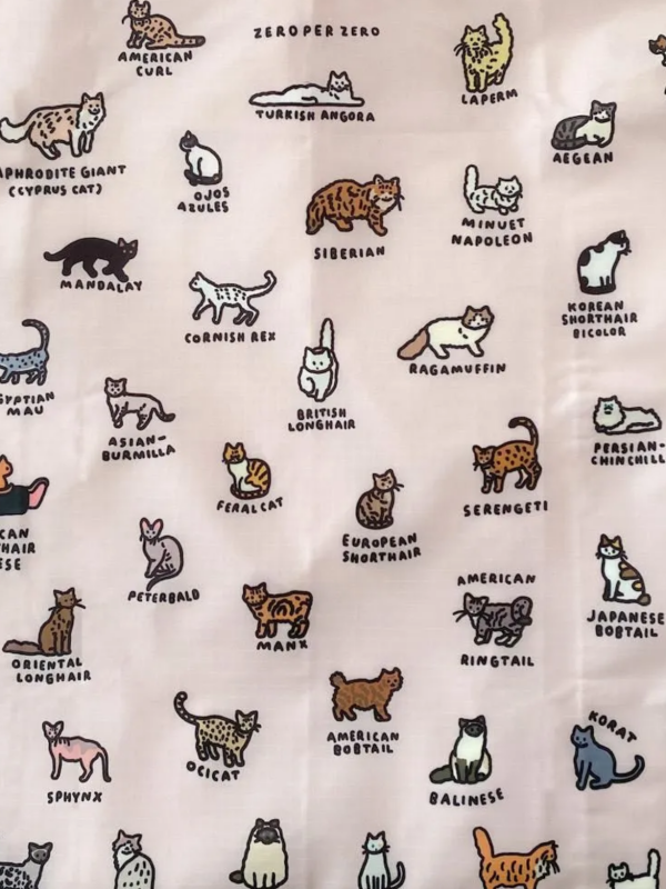 BAGGU2025/8月入荷イチオシ紹介