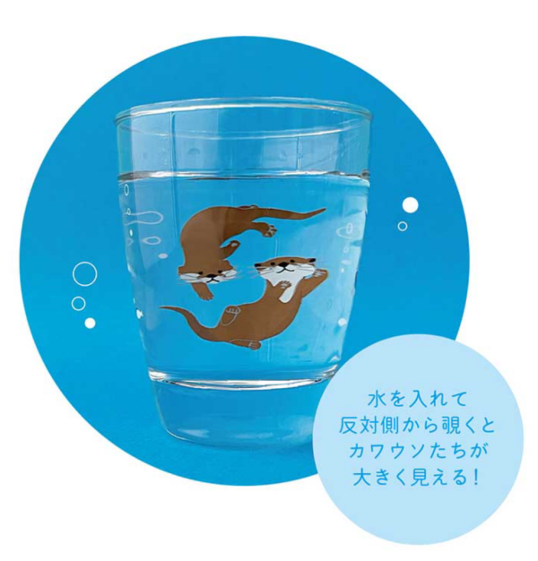 🍨暑い夏の日もすいすい泳ぐ海の生き物とひと休み🍨