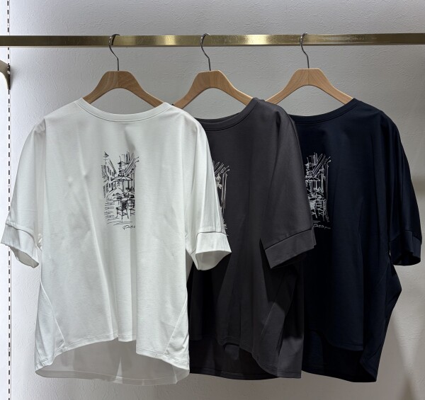 ⭐︎風景画ドルマンTシャツ⭐︎
