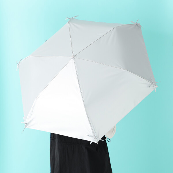【Francfrancのある生活】バレエコアデザインの晴雨兼用傘🩰🎀 