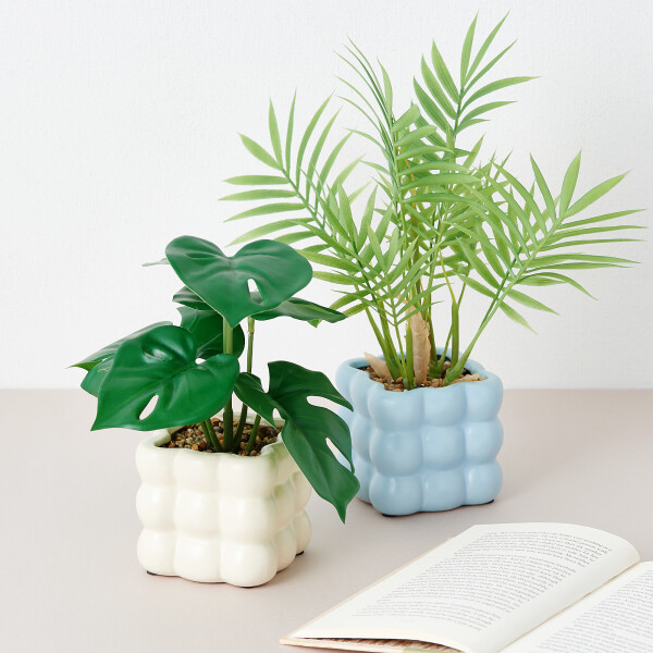 \爽やかなグリーンやフレグランスでリフレッシュ🌿✨/