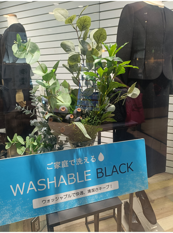 ディスプレイ展示中🍀
