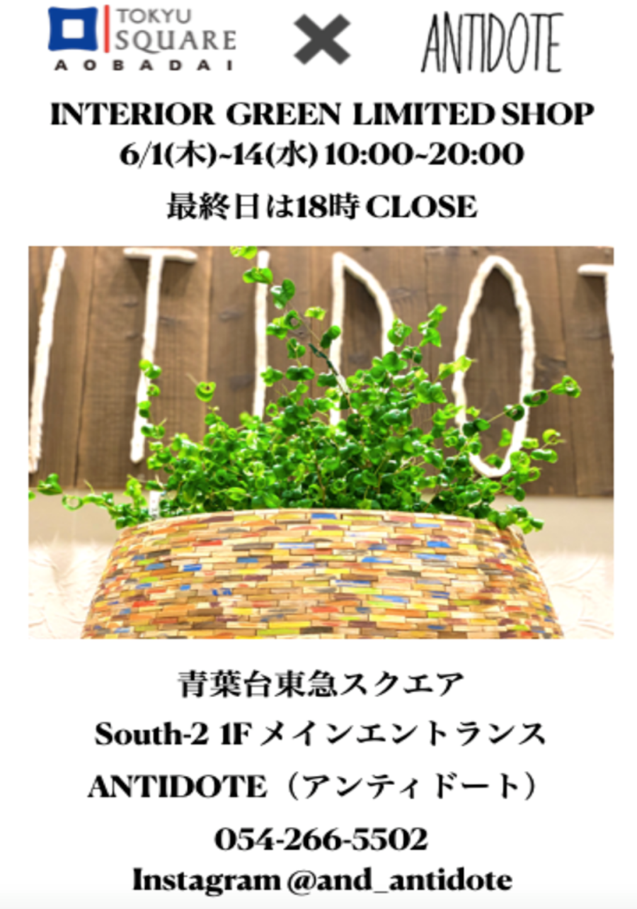 アンティドート催事（6/1-6/14）