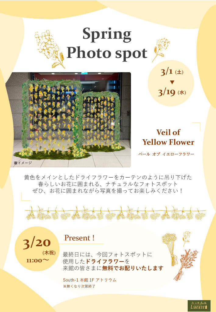 Spring Photo spot（3/1-3/20）
