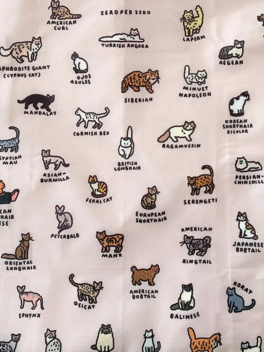 BAGGU2025/8月入荷イチオシ紹介