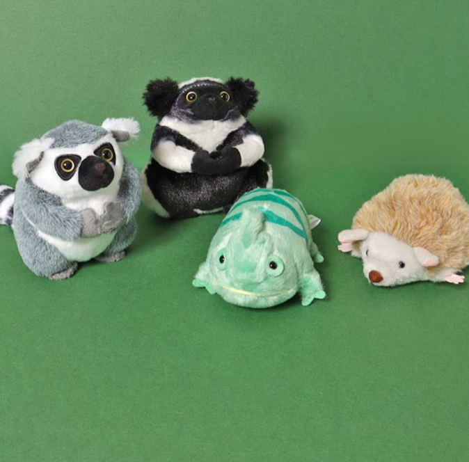 🌟マダガスカルに生息している動物が大集合❗️マダガスカルぽちゃ🌟