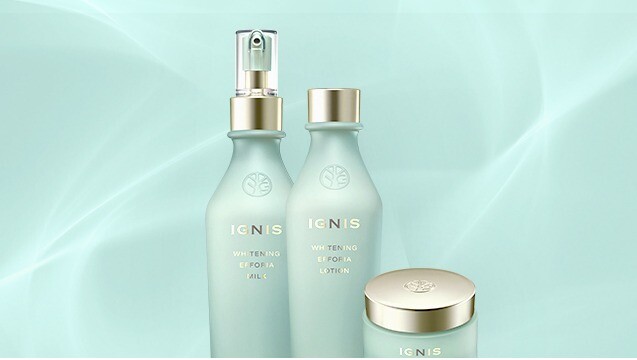 イグニスお手入れ会