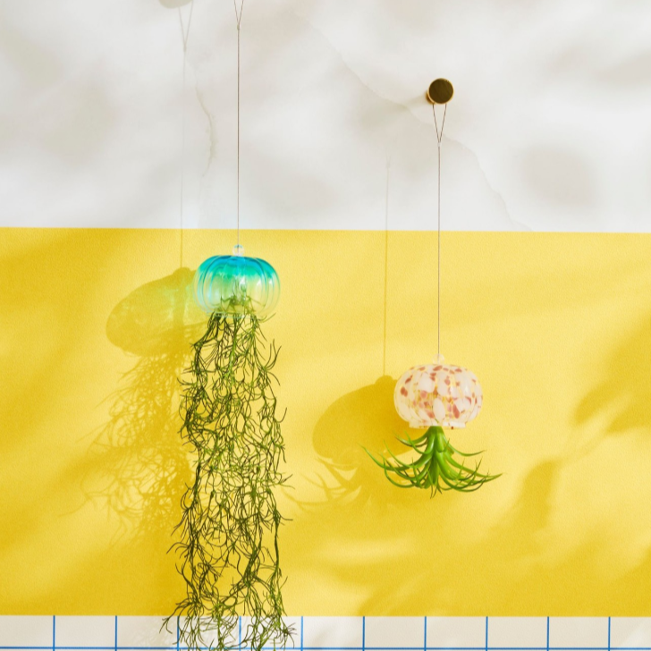 【NEW!】クラゲモチーフのアートグリーン🪼🩵