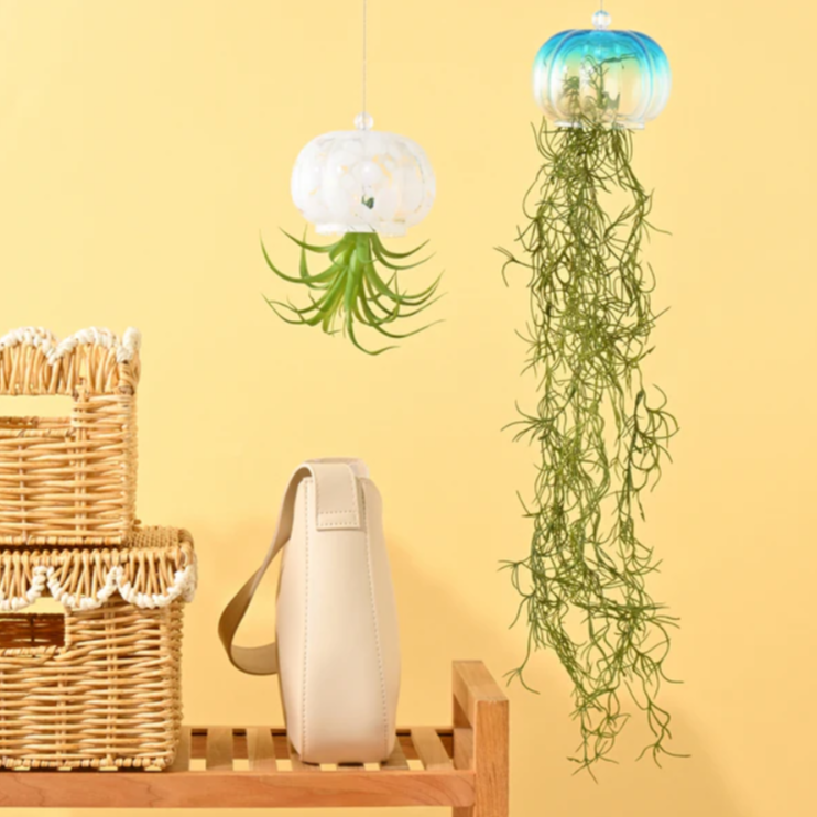 【NEW!】クラゲモチーフのアートグリーン🪼🩵
