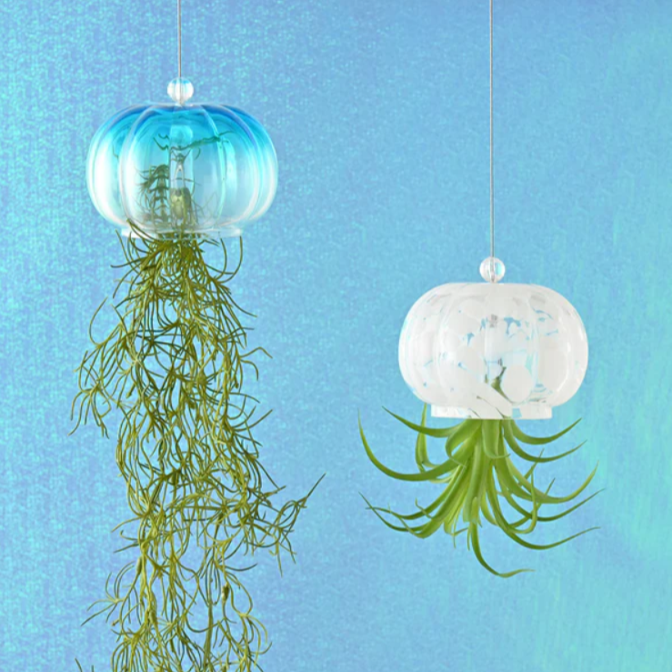 【NEW!】クラゲモチーフのアートグリーン🪼🩵