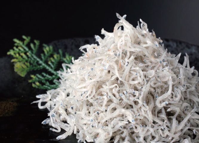 期間限定出店のご案内【12月9日(火)まで】